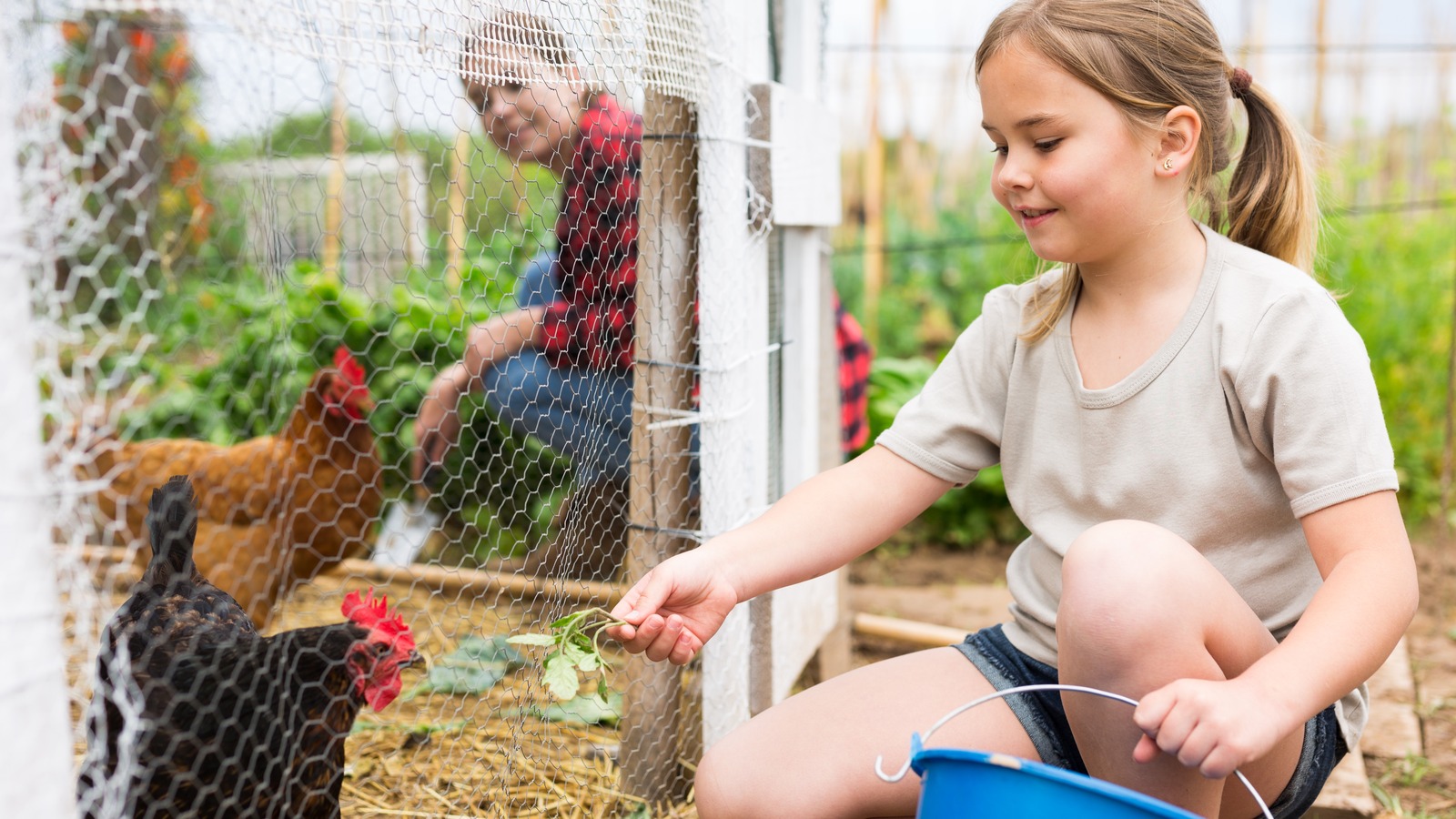 DIY Chicken Coop Decor with Dollar Tree Items - Easy Decor DIY