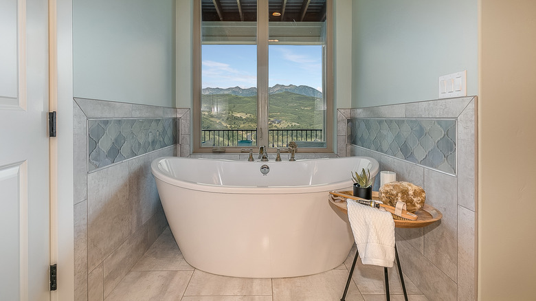 Bathtub with mountain views