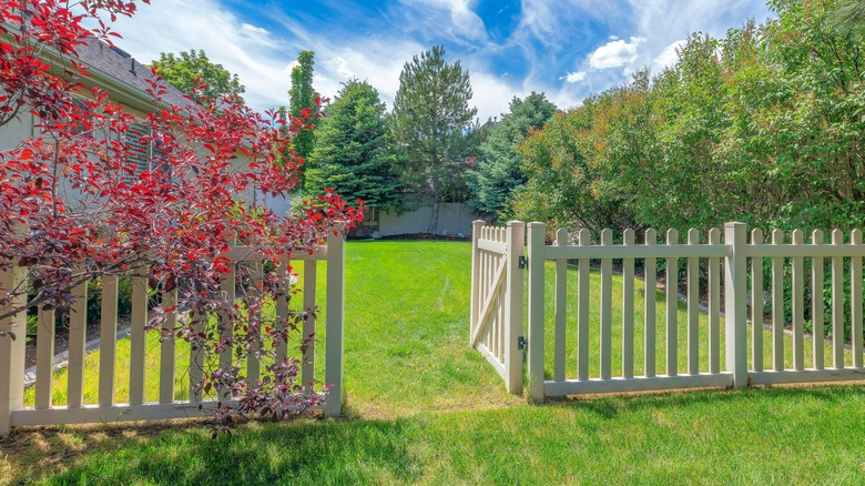 White vinyl fencing