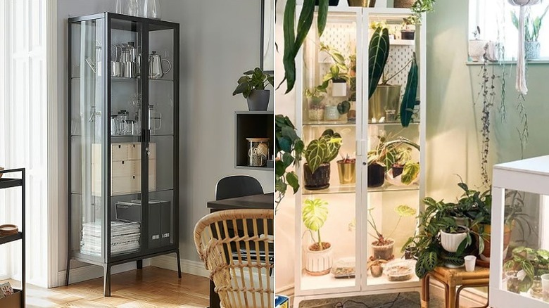 Split image showing the cabinet in black on the left and in white filled with plants on the right.