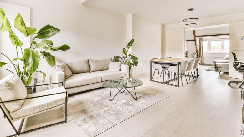 Hardwood floor with plants