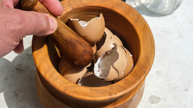 Hand crushing eggshells with mortar and pestle