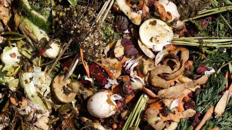 View of compost pile with different food scraps