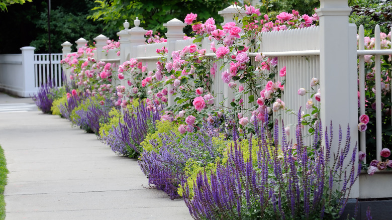 White fence with flowers