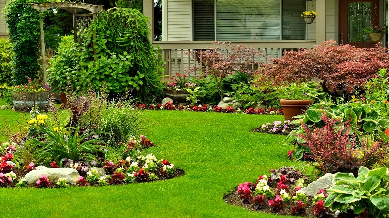 Yard with flower patches
