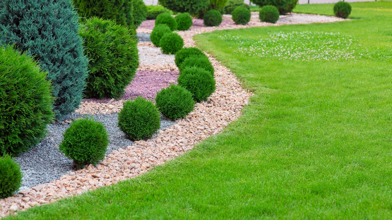 Lines of circular bushes