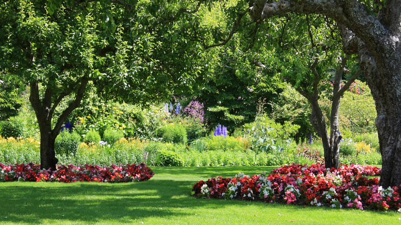 flowerbeds around trees