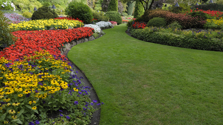 flower landscaping