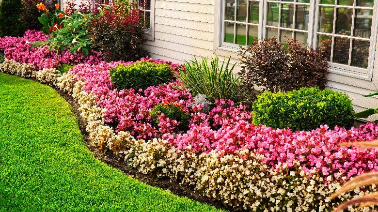 White house with pink flowers