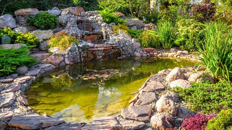 Beautiful backyard pond