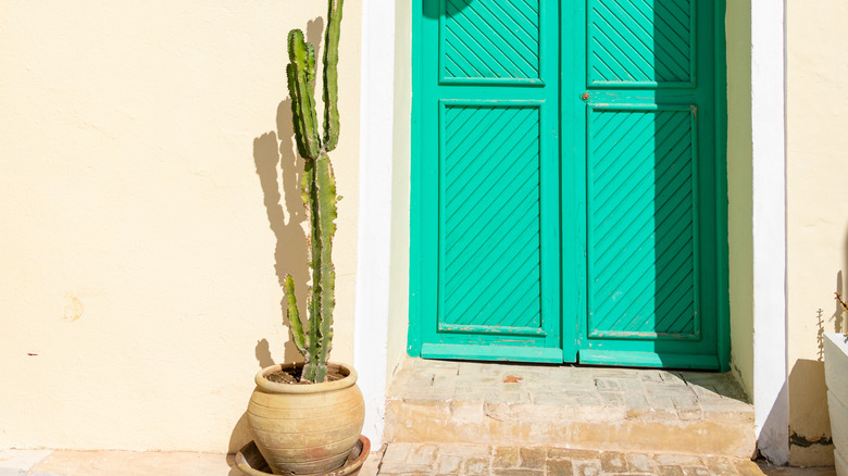 home with potted cactus