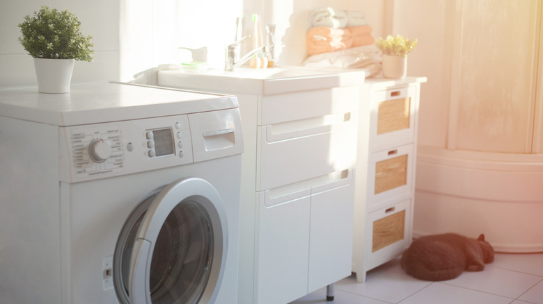 bathroom and laundry room
