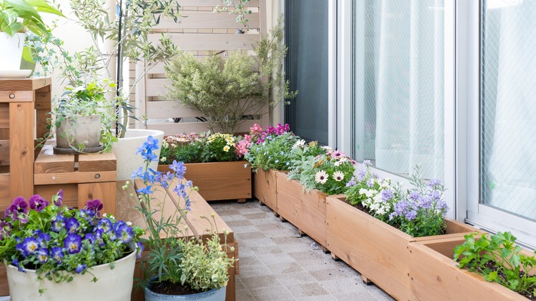flower boxes on balcony