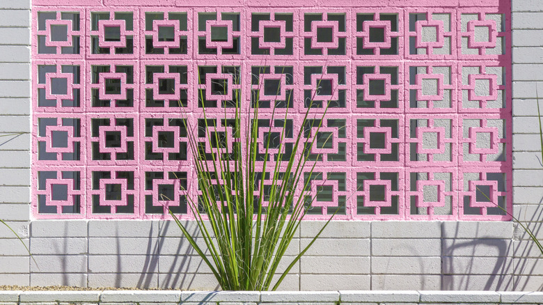 A pink breeze block wall with a palm plant.
