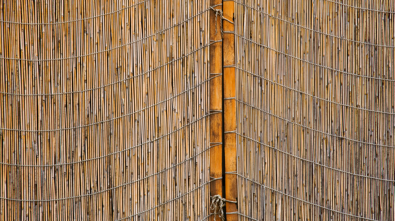 woven reed mats hanging