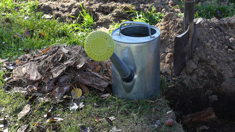 A watering can sitting by a freshly dug hole for planting.