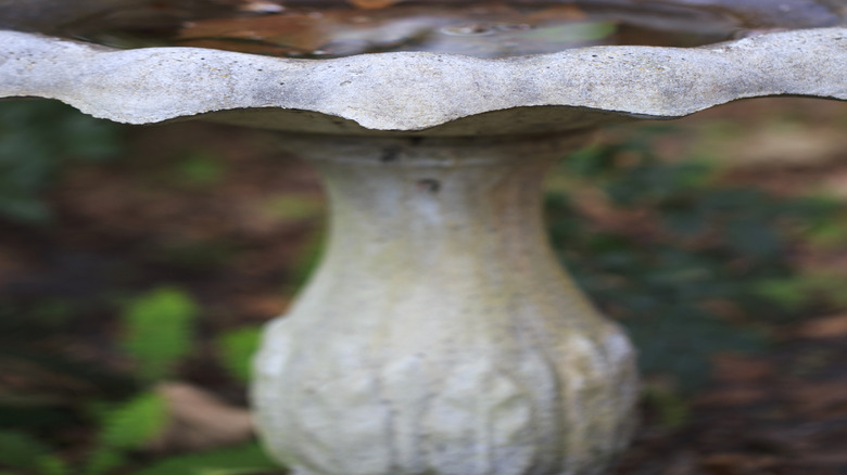 close up on concrete bird bath