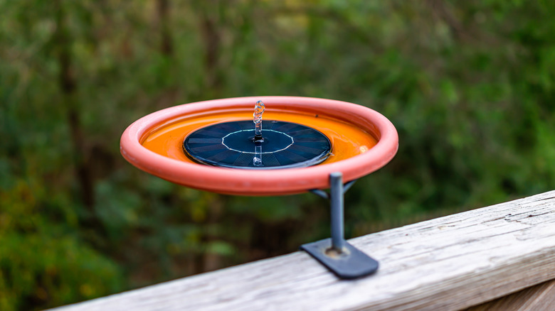 small plastic bird bath with fountain