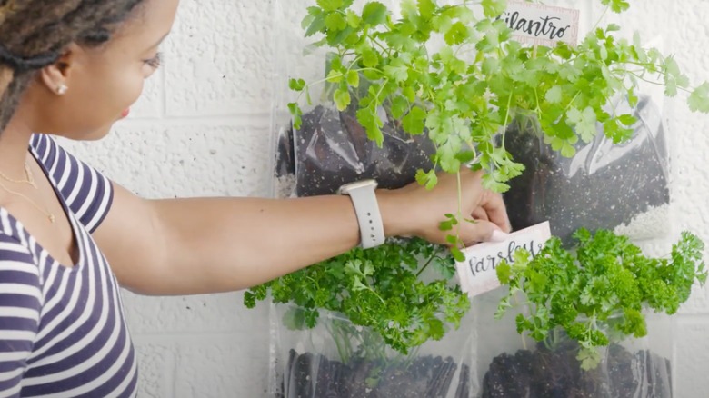 A woman putting labels on a hanging herb garden inside of a shoe caddy