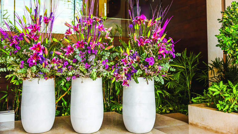 Three white indoor planters filled with flowers