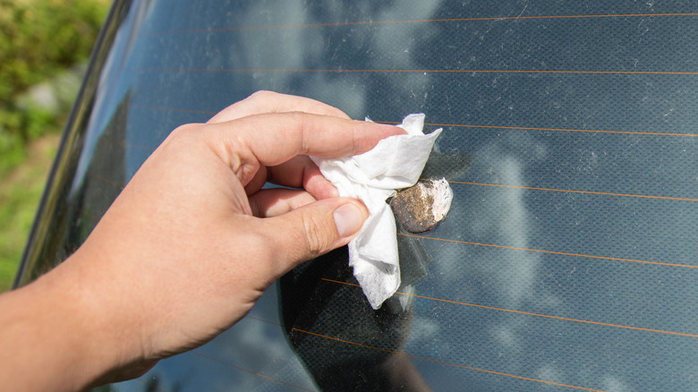 Person cleaning bird dropping off a car