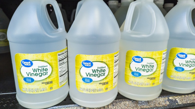 A row of white vinegar gallons.