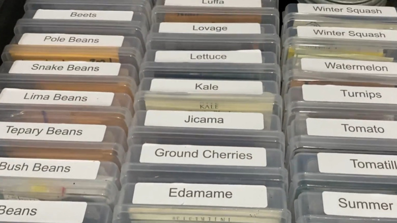 A close up of small plastic containers labeled with different seeds.