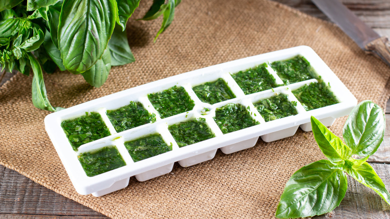 Chopped green herbs in an ice cube tray