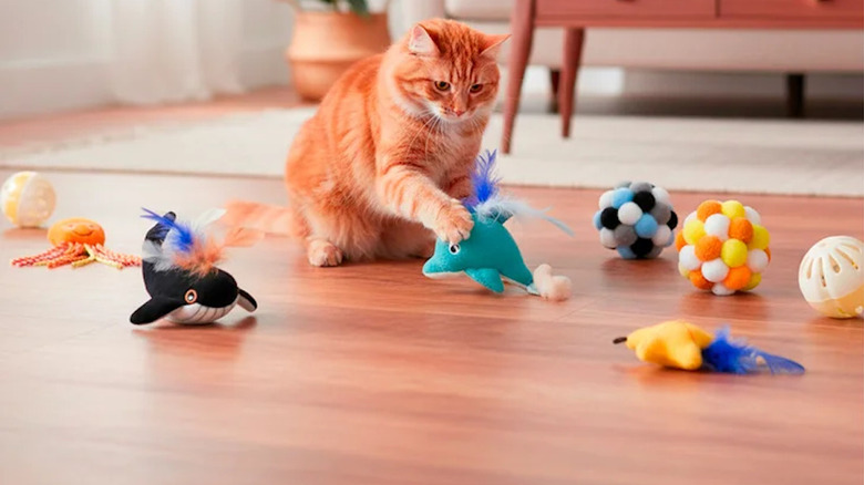 An orange tabby cat playing with catnip toys.