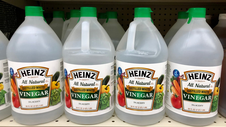distilled white vinegar