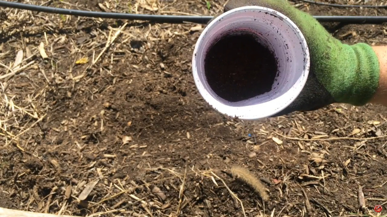 Gardener holding up a red plastic cup that contains a mix of coffee grounds and seeds