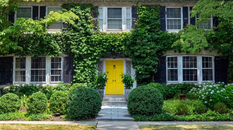 Yellow front door house covered in ivy