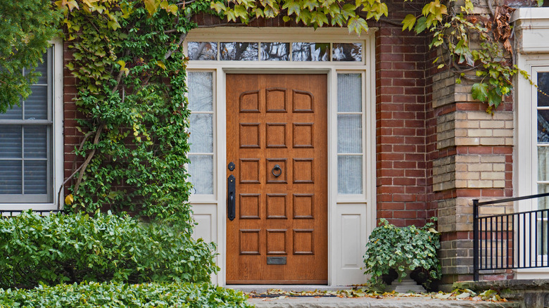 Brown wood door on brick house covered in ivy
