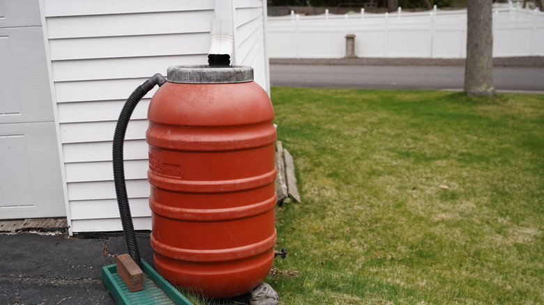 Close up of red rain barrel
