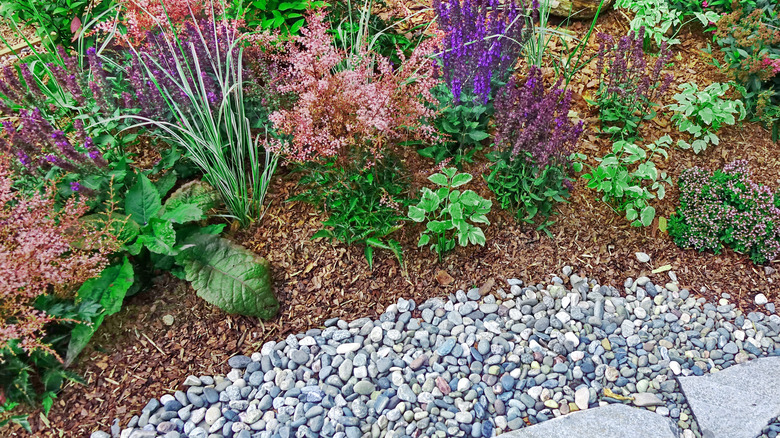 7 Genius Mulching Tips To Makeover Your Garden