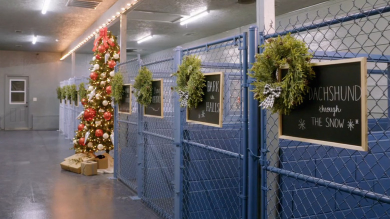 Large dog cages with Christmas decorations.