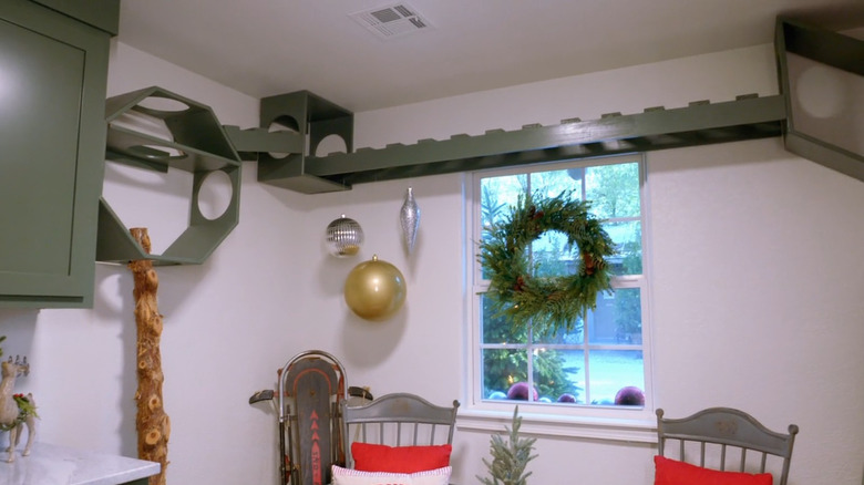 A cat obstacle course mounted to the wall
