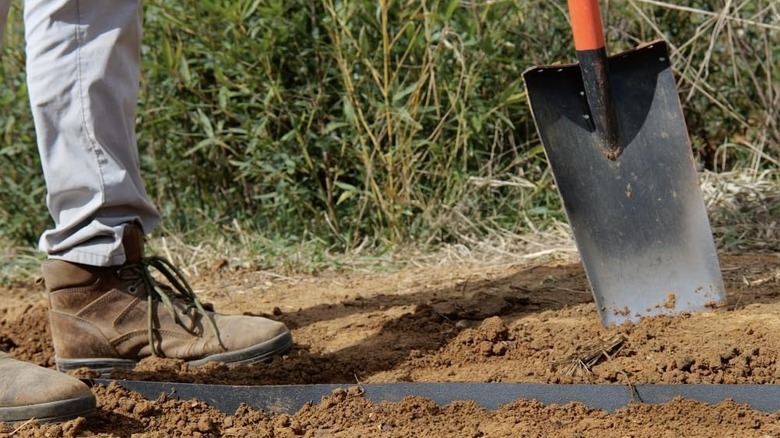 Man burying root barrier in soil