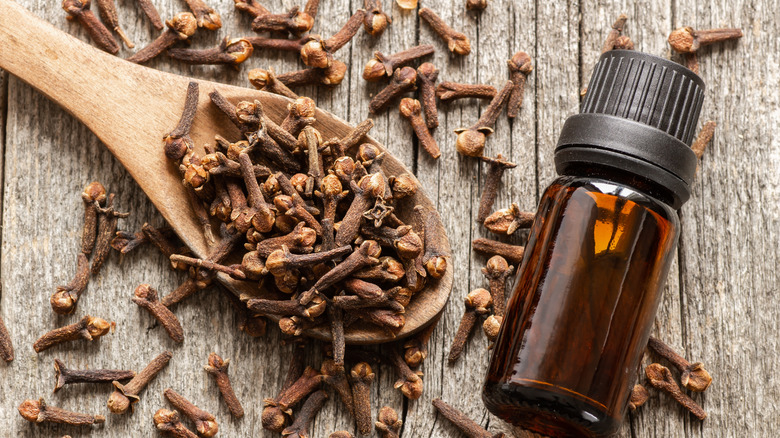 Cloves on wooden spoon beside clove oil essential oil bottle on wood surface