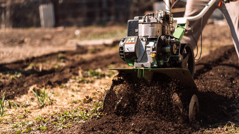 Soil rototiller rolling across row of healthy garden soil