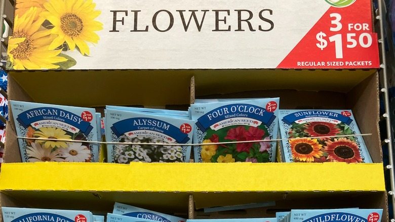 Flower seed packets in Dollar Tree display