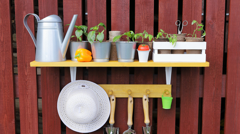 A utility shelf with tools and plants