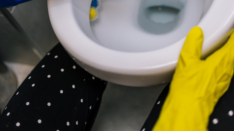 rubber gloved hand holding a toilet bowl cleaner bottle