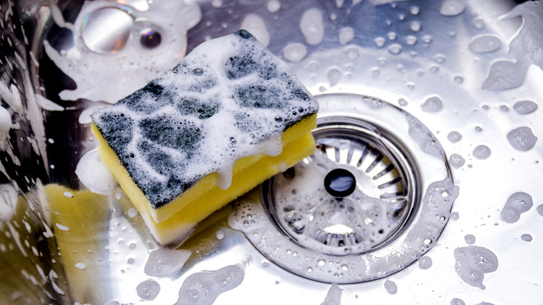 a soapy sponge in a kitchen sink