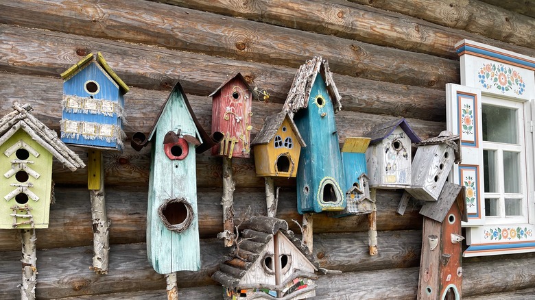 Multi-colored birdhouses on wall