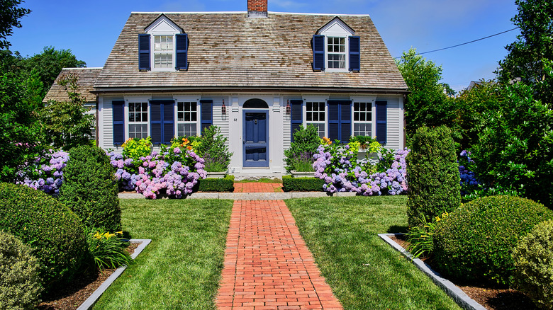 A Cape Cod house with hydragnea