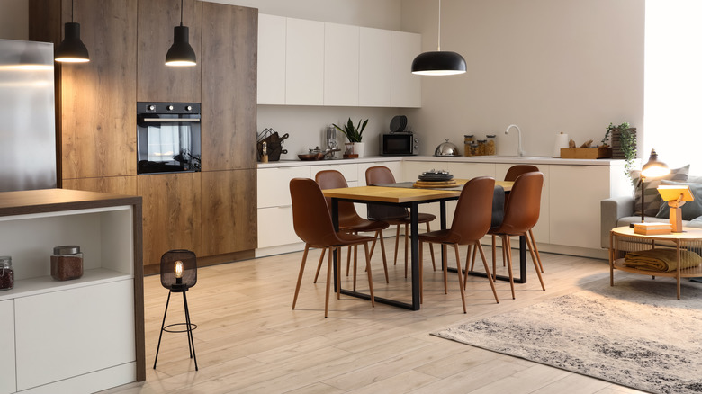 Open floor modern house