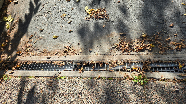 Concrete driveway drain, leaf debris scattered around it