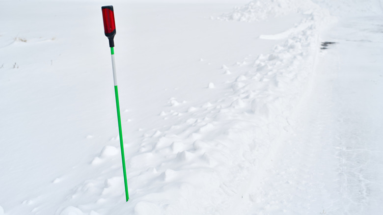 Reflective driveway marker in snow