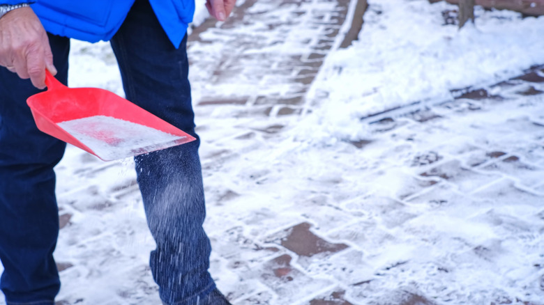 Person sprinkling de-icer with a red scoop onto driveway